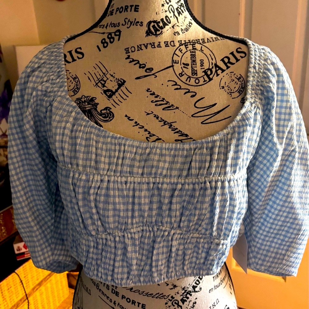Song of Style Blue-White  Gingham Women's Top Sz XL nwt